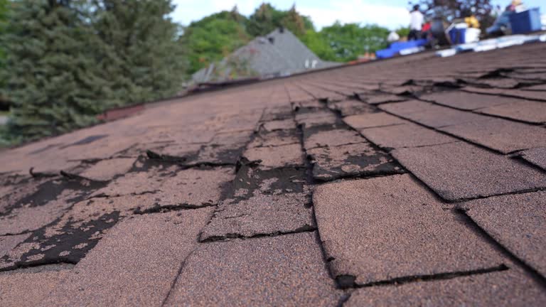 Best Solar Panel Roofing Installation  in White Oak, MD